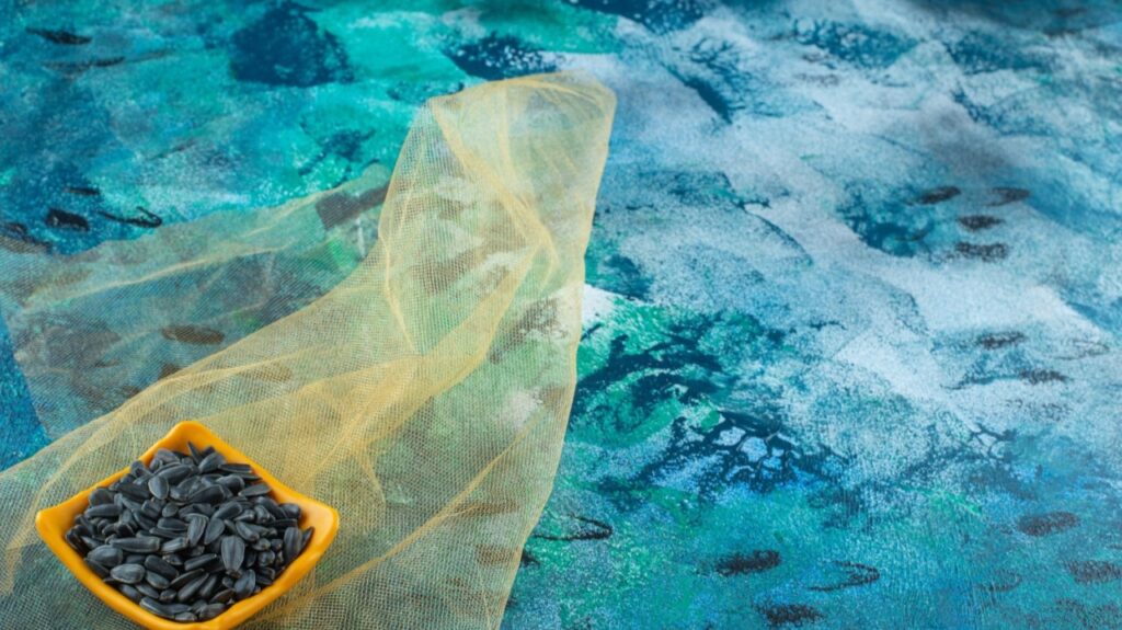 Gothra Studio - Premier Interior Design Company in Bangalore