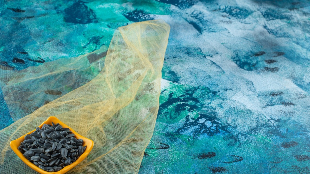 Gothra Studio - Premier Interior Design Company in Bangalore